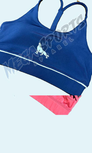 msa-customer-fitness-portfolio